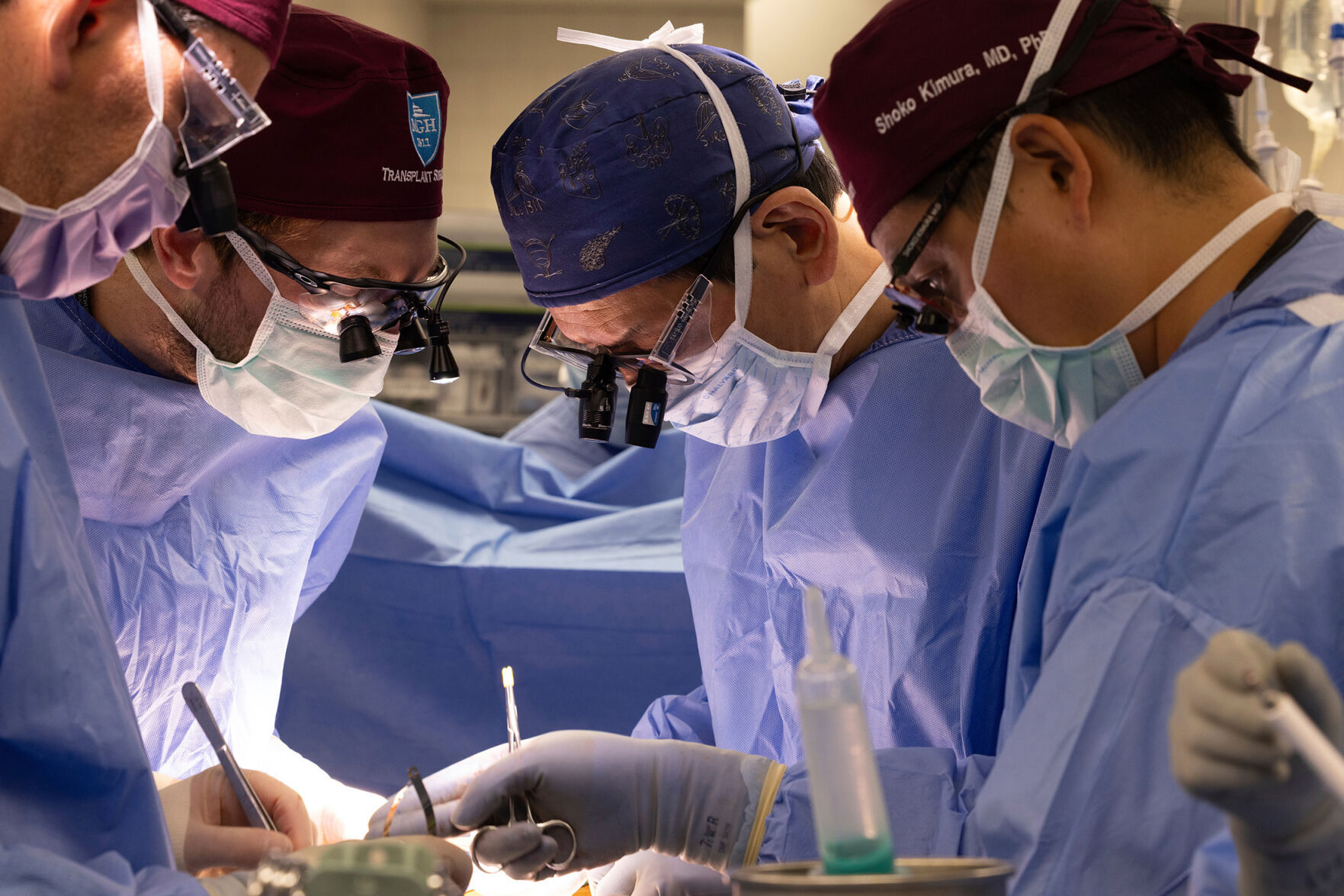 Pig Kidney Transplant